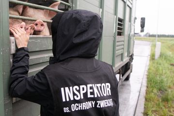 The first Polish report on live animal transport