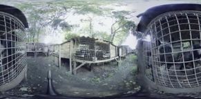 Fox Farms Virtual Reality 360 