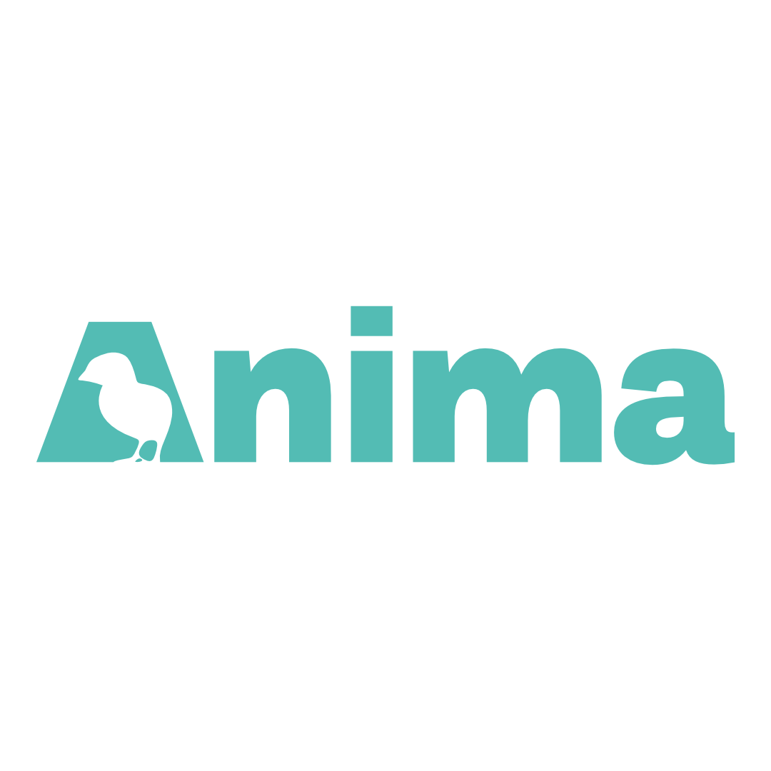 Anima France logo